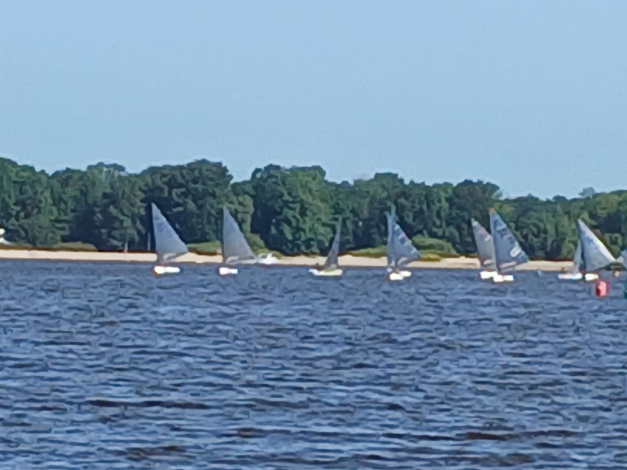 Veel zeilboten op blauw water