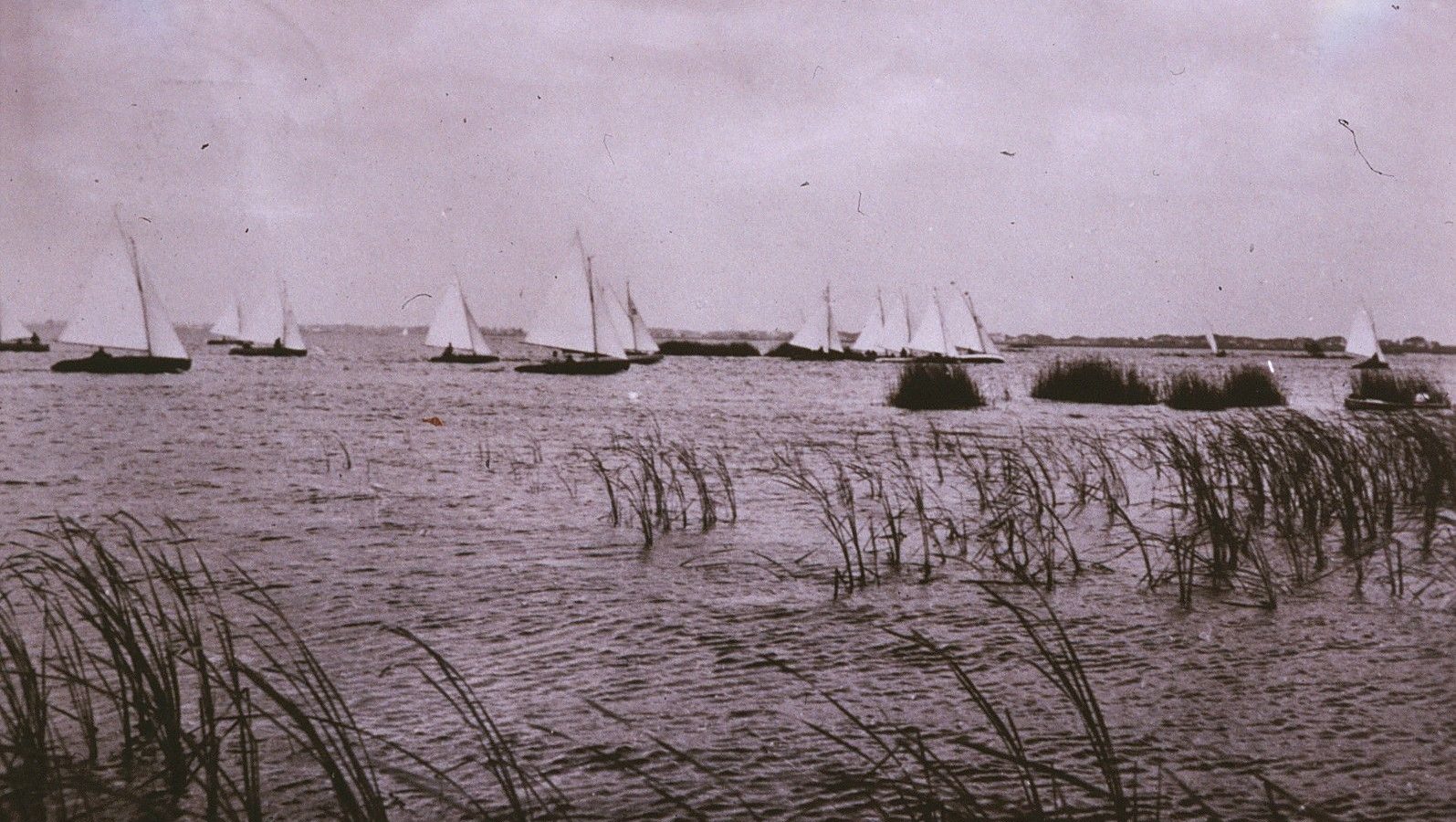 Oude foto van zeilboten achter het riet op het meer