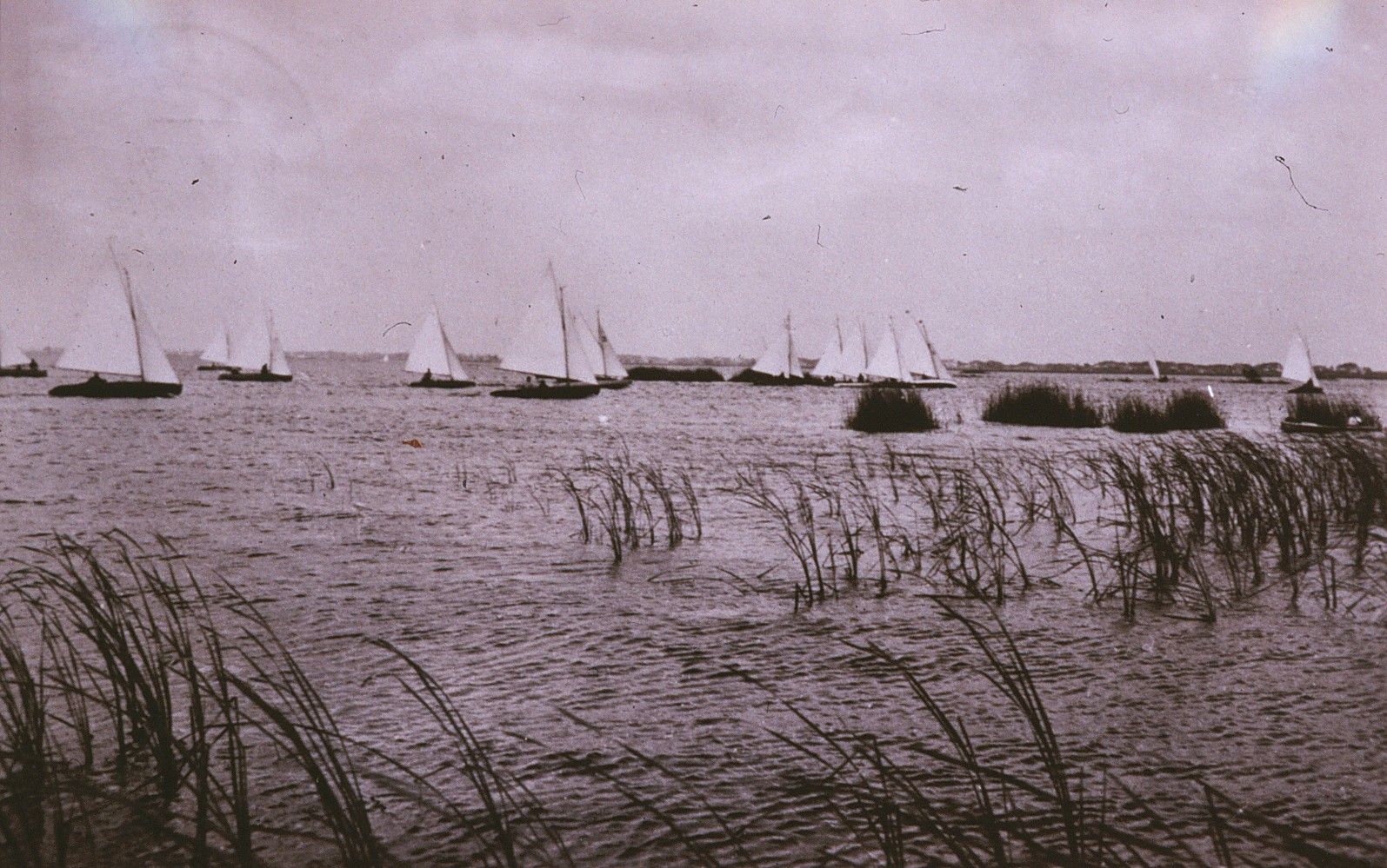 Oude foto van zeilboten achter het riet op het meer